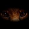 ȸfox's profile picture