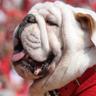 RWallace's profile picture