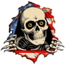 BashBro's profile picture