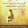 福兹 profil fotoğrafı