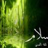 محب السلام والعزه's profile picture