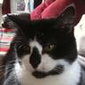 Smudge Edge's profile picture