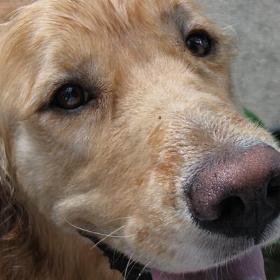 anyone_want_chips's profile picture