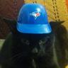 Profilbild von Sue J ⚾️ (Go Jays Go!)