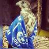 Profilbild von الموج..الازرق