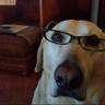 Samshoe's profile picture