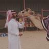 عزام عبدالرحمن الصغير's profile picture