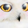Profilbild von DJL