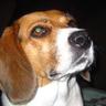 Cindy 💙💙🇺🇸🇺🇸🌊🌊🌊's profile picture