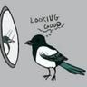 EurasianMagpie's profile picture