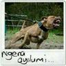 Mbongeni profil fotoğrafı