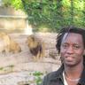 sidy ndiaye 的头像