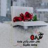 Фото профиля احب الخير للجميع...