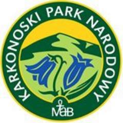 KPN profil oficjalny's profile picture