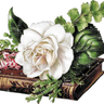 زهره profil fotoğrafı