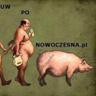 Partia Obciachu🇵🇱 的头像