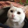 michiko's profile picture