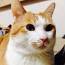 エイト's profile picture