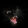 Profilbild von mark killer