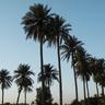 Profilbild von sahara desert