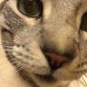 Tam's profile picture