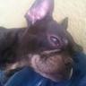 Maria del Socorro Hd's profile picture