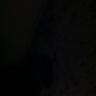 الوطنـ المستباحـ's profile picture