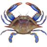 James Veritas's profile picture