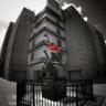 Фото профиля Red Hot Ricky