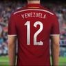 ๐ป๐ช Vinotinto ๐ป๐ช ็ๅคดๅ