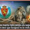 Lucar24 的头像