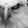 عقّاب™'s profile picture