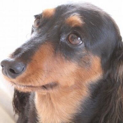 星景写真家 湯淺光則 NORI YUASA's profile picture