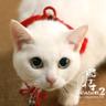 みりん profil fotoğrafı