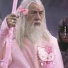 Chandalf the pink🇦🇹's profile picture