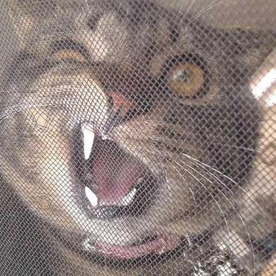 nyankityi's profile picture