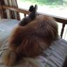 Фото профиля Jason (Not Argonaut Affiliated)
