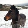 John Arkwright's profile picture
