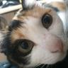 Profilbild von 里村かりん
