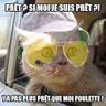 thibaut's profile picture