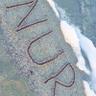 NURY's profile picture
