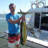 Profilbild von Wayne Reynolds