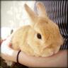 misono's profile picture