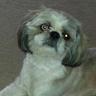 Profilbild von Vincent Better