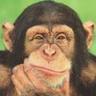 Profilbild von Jose A C V