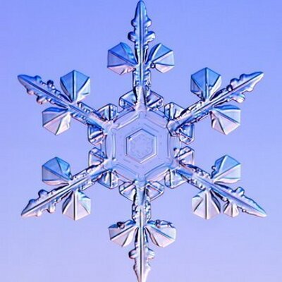 snow_blanc's profile picture