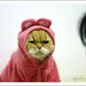 (ФωФ)ヨシクン(ФωФ)'s profile picture