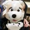 Фото профиля ビジュアルメモリDog