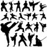 Profilbild von MMA History Today