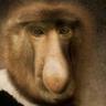 Profilbild von Eriks Stendzenieks